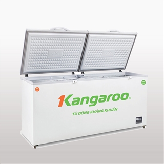 Tủ đông kháng khuẩn Kangaroo KG688C2.